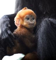 XINHUA-PICTURES OF THE YEAR 2021-CHINA NEWS