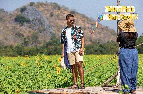 THAILAND-LOPBURI-SUNFLOWERS