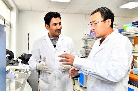 CHINA-SHANDONG-PAKISTANI STUDENT-VEGETABLE RESEARCH (CN)