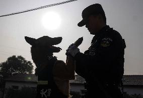 CHINA-HUBEI-WUHAN-POLICE DOG-TRAINING (CN)