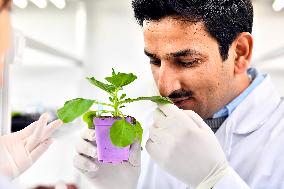 CHINA-SHANDONG-PAKISTANI STUDENT-VEGETABLE RESEARCH (CN)