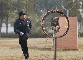 CHINA-HUBEI-WUHAN-POLICE DOG-TRAINING (CN)