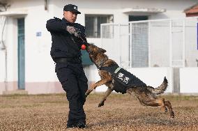 CHINA-HUBEI-WUHAN-POLICE DOG-TRAINING (CN)