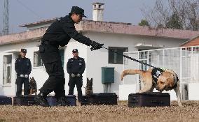 CHINA-HUBEI-WUHAN-POLICE DOG-TRAINING (CN)