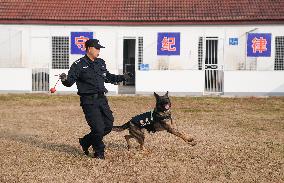 CHINA-HUBEI-WUHAN-POLICE DOG-TRAINING (CN)