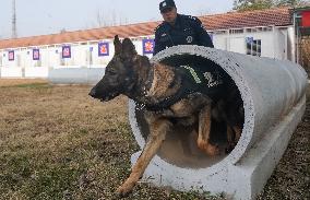 CHINA-HUBEI-WUHAN-POLICE DOG-TRAINING (CN)