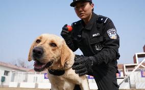 CHINA-HUBEI-WUHAN-POLICE DOG-TRAINING (CN)