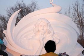 CHINA-HEILONGJIANG-HARBIN-SNOW SCULPTURE (CN)