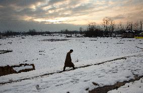 KASHMIR-SRINAGAR-SNOWFALL