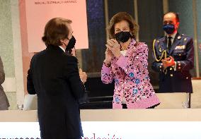 Queen Sofía Presents Social Awards - Madrid