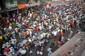 Jatrabari Fish Market In Dhaka - Bangladesh