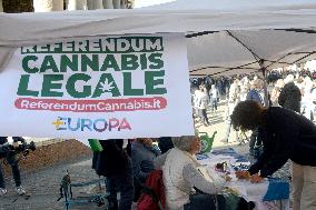Petition for referendum on liberalising cannabis - Rome