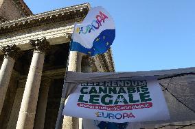 Petition for referendum on liberalising cannabis - Rome
