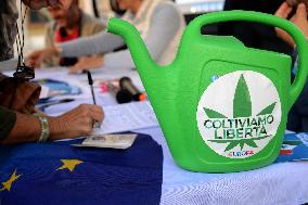 Petition for referendum on liberalising cannabis - Rome