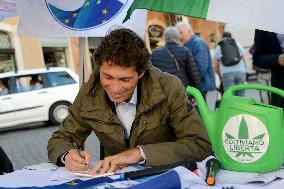 Petition for referendum on liberalising cannabis - Rome