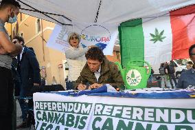 Petition for referendum on liberalising cannabis - Rome