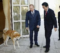Russian Pres. Putin, Japan PM Abe in 2014