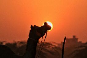 INDIA-PUSHKAR-FAIR