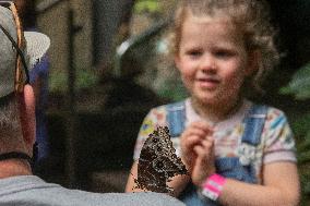 Tropical Forest Butterfly Garden At Otago Museum
