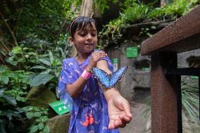 Tropical Forest Butterfly Garden At Otago Museum