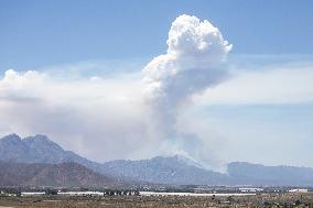 SOUTH AFRICA-WESTERN CAPE-HEAT WAVE