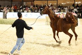SAUDI ARABIA-RIYADH-HORSES FESTIVAL-HORSE AUCTION