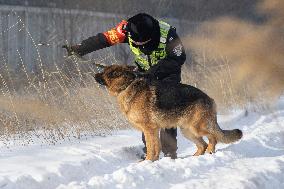 CHINA-HEILONGJIANG-DAQING-PATROL DOG (CN)