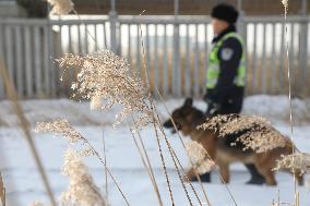 CHINA-HEILONGJIANG-DAQING-PATROL DOG (CN)