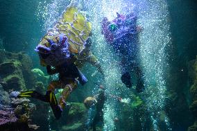 INDONESIA-JAKARTA-UNDERWATER PERFORMANCE