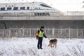 CHINA-HEILONGJIANG-DAQING-PATROL DOG (CN)