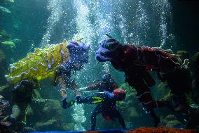 INDONESIA-JAKARTA-UNDERWATER PERFORMANCE