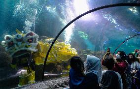 INDONESIA-JAKARTA-UNDERWATER PERFORMANCE