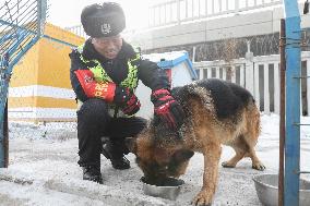 CHINA-HEILONGJIANG-DAQING-PATROL DOG (CN)