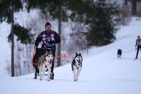 (SP)LATVIA-MADONA-SLED DOG RACE