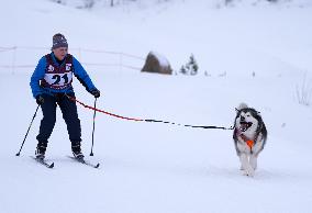 (SP)LATVIA-MADONA-SLED DOG RACE