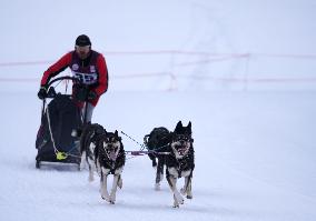 (SP)LATVIA-MADONA-SLED DOG RACE