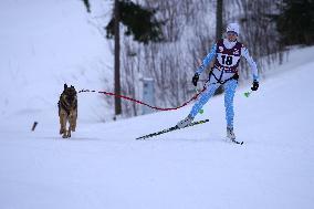 (SP)LATVIA-MADONA-SLED DOG RACE