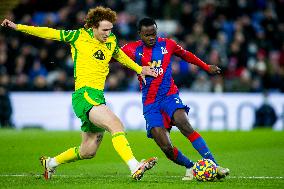 SOCCER-CRYSTAL-PALACE-NORWICH-CITY/REPORT