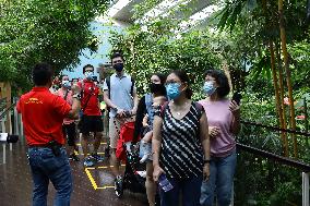 Nursery Unveiling Ceremony And Public Debut Of Singapore’s Giant Panda Cub