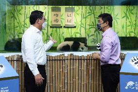 Nursery Unveiling Ceremony And Public Debut Of Singapore’s Giant Panda Cub