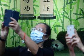 Nursery Unveiling Ceremony And Public Debut Of Singapore’s Giant Panda Cub