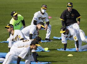 Spring training camp begins for Japan pro baseball clubs