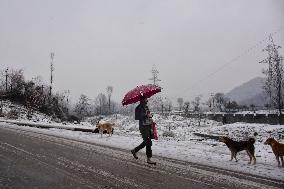 KASHMIR-WEATHER/SNOW