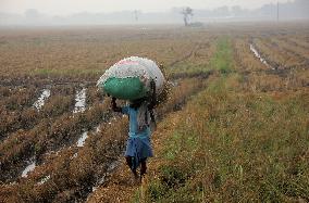 ECONOMY/INDIA