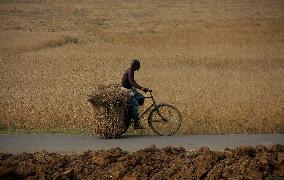 ECONOMY/INDIA