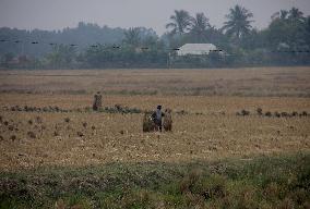 ECONOMY/INDIA