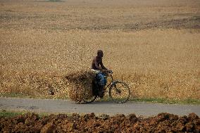 ECONOMY/INDIA