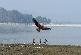 DAILY-LIFE/INDIA