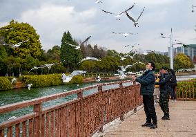 CHINA-YUNNAN-KUNMING-WETLAND-VIEWS (CN)