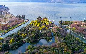 CHINA-YUNNAN-KUNMING-WETLAND-VIEWS (CN)